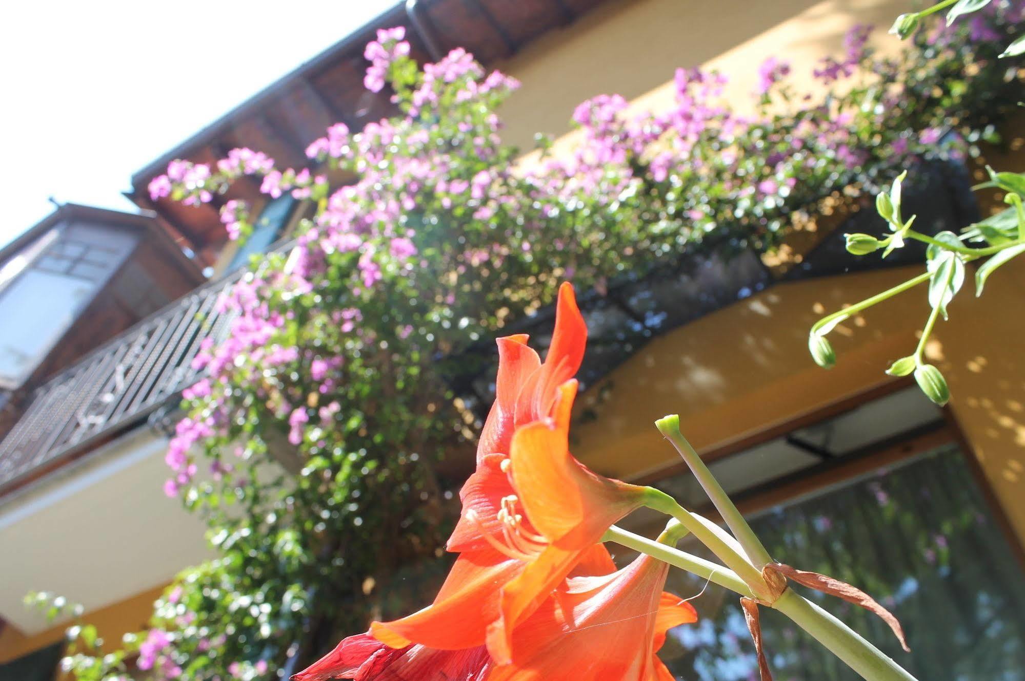Hotel Centrale Bellagio Dış mekan fotoğraf